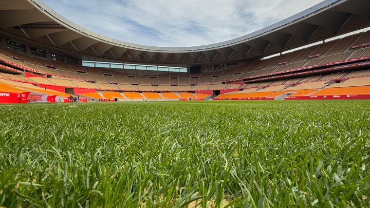 Césped del Estadio de La Cartuja