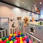 Guardería en la Caja Mágica, una solución perfecta para padres y niños