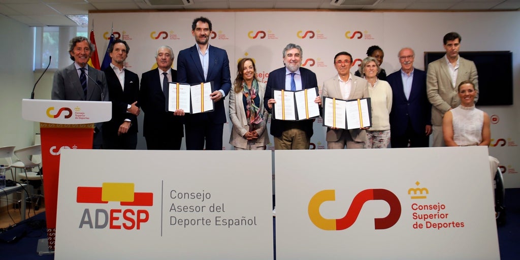 El csd adopta al consejo asesor del deporte para definir el modelo deportivo en españa