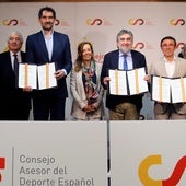 El CSD adopta al Consejo Asesor del Deporte para definir el modelo deportivo en España