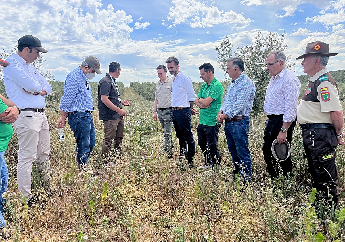 Visita en mayo de 2023 del actual titular de Agricultura de la Junta de Andalucía al proyecto Framework, en los acotados de la Sociedad de Cazadores de Aguilar de la Frontera