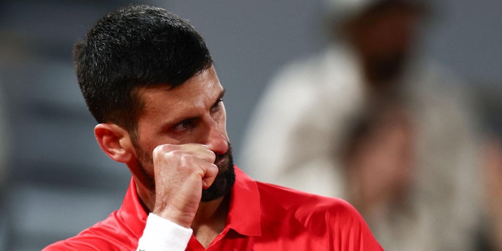 Djokovic vs Zverev & Sinner: French Open Update