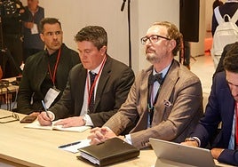 Sevilla FC: Las acciones de los americanos, a subasta este viernes