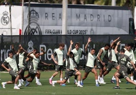 Césped Bermuda, vida salvaje, máxima privacidad y seguridad y un calor asfixiante: así es el Valdebebas del Madrid en Palm Beach