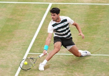 El mejor Alcaraz, de racha en la hierba