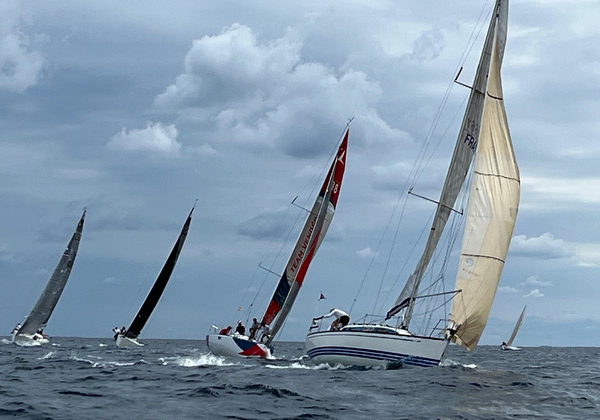 La flota de cruceros durante esta edición de la Regata Costa Vasca-Ballena de Oro