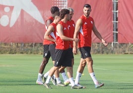 Rafa Mir, Joan Jordán y Januzaj, un problema millonario para el Sevilla FC