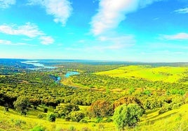 El enigma medieval del monte de El Pardo