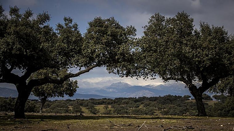 Uno de los paisajes del monte