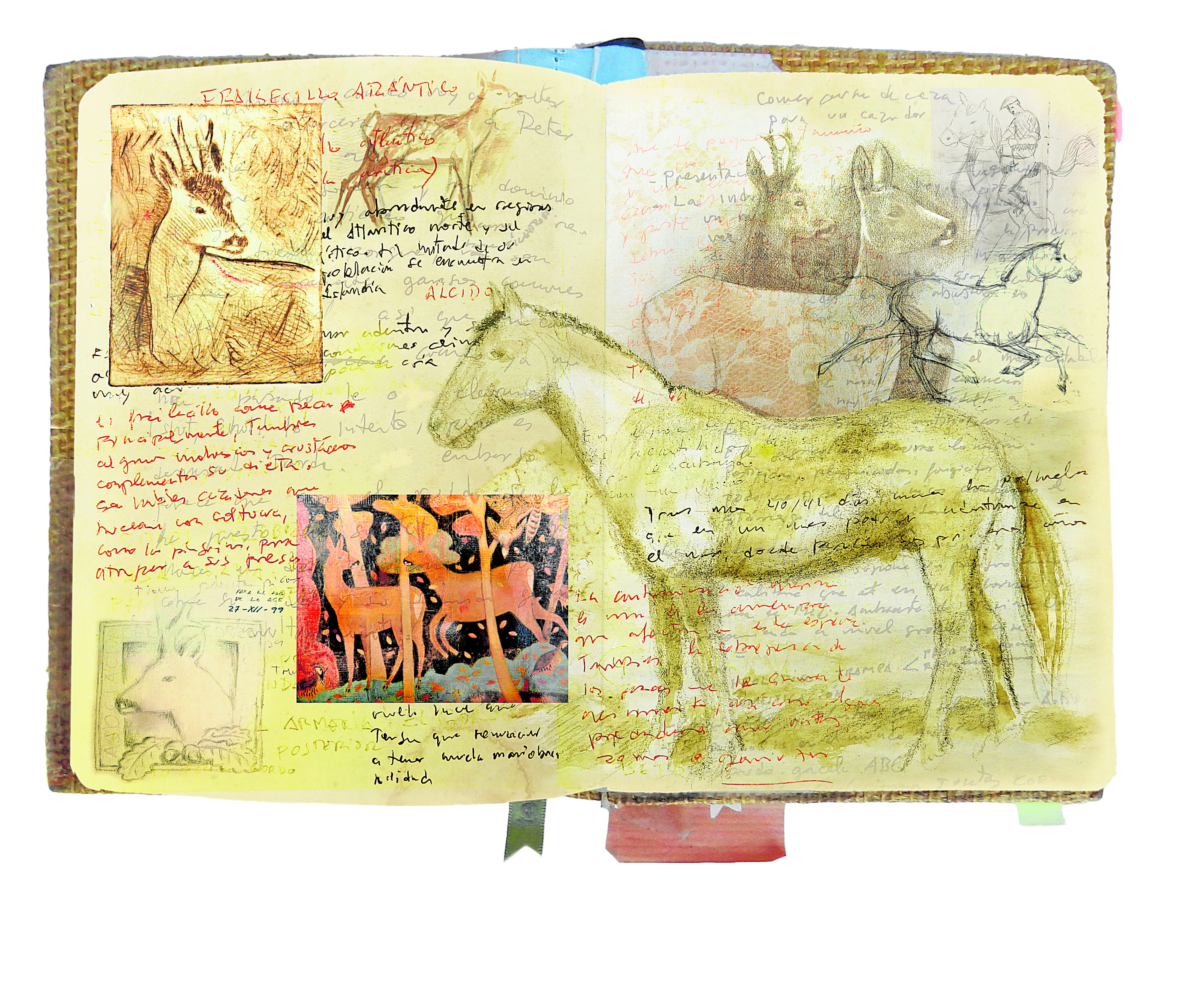 Sensaciones de juventud