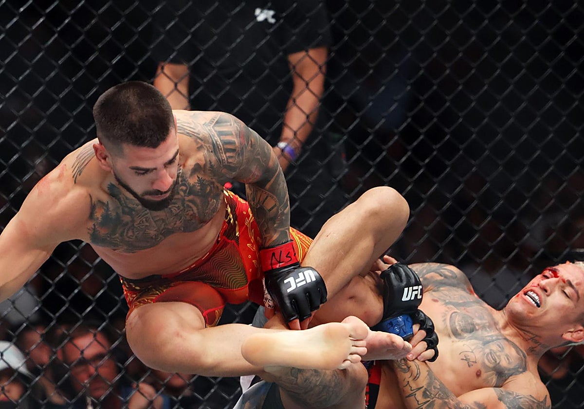 MMA