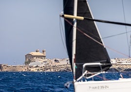 El TabarcaVela brilla