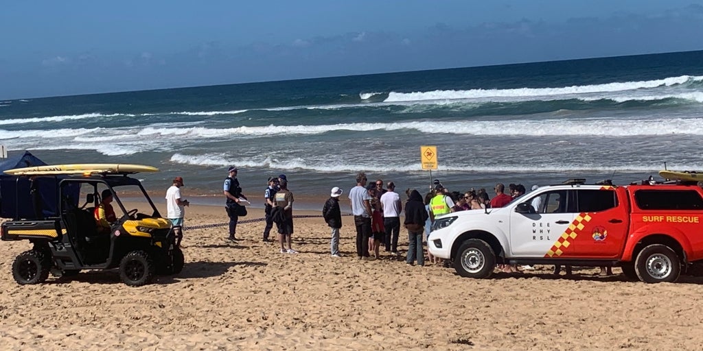 «¡No me muerdas!»: muere un surfista tras el ataque de un enorme tiburón en Australia