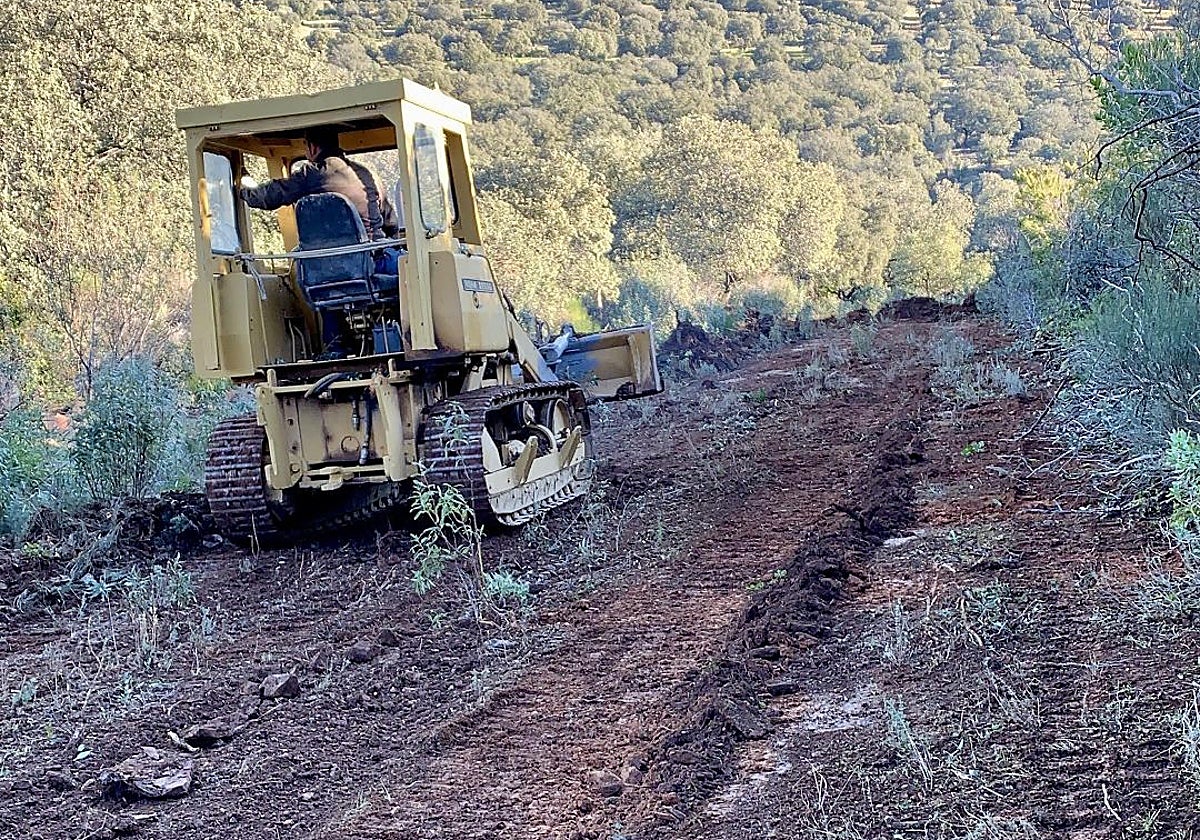 Labores de selvicultura preventiva en terrenos de caza