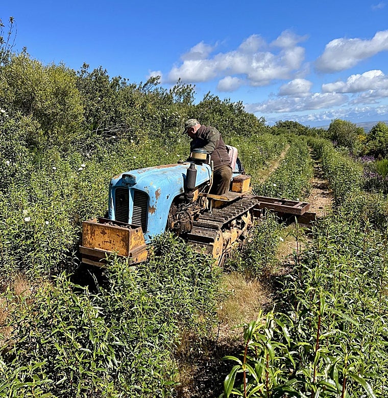 Una máquina actúa sobre un cortafuegos