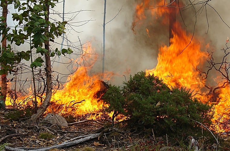 Uno de los incendios que han tenido lugar el pasado mes de agosto