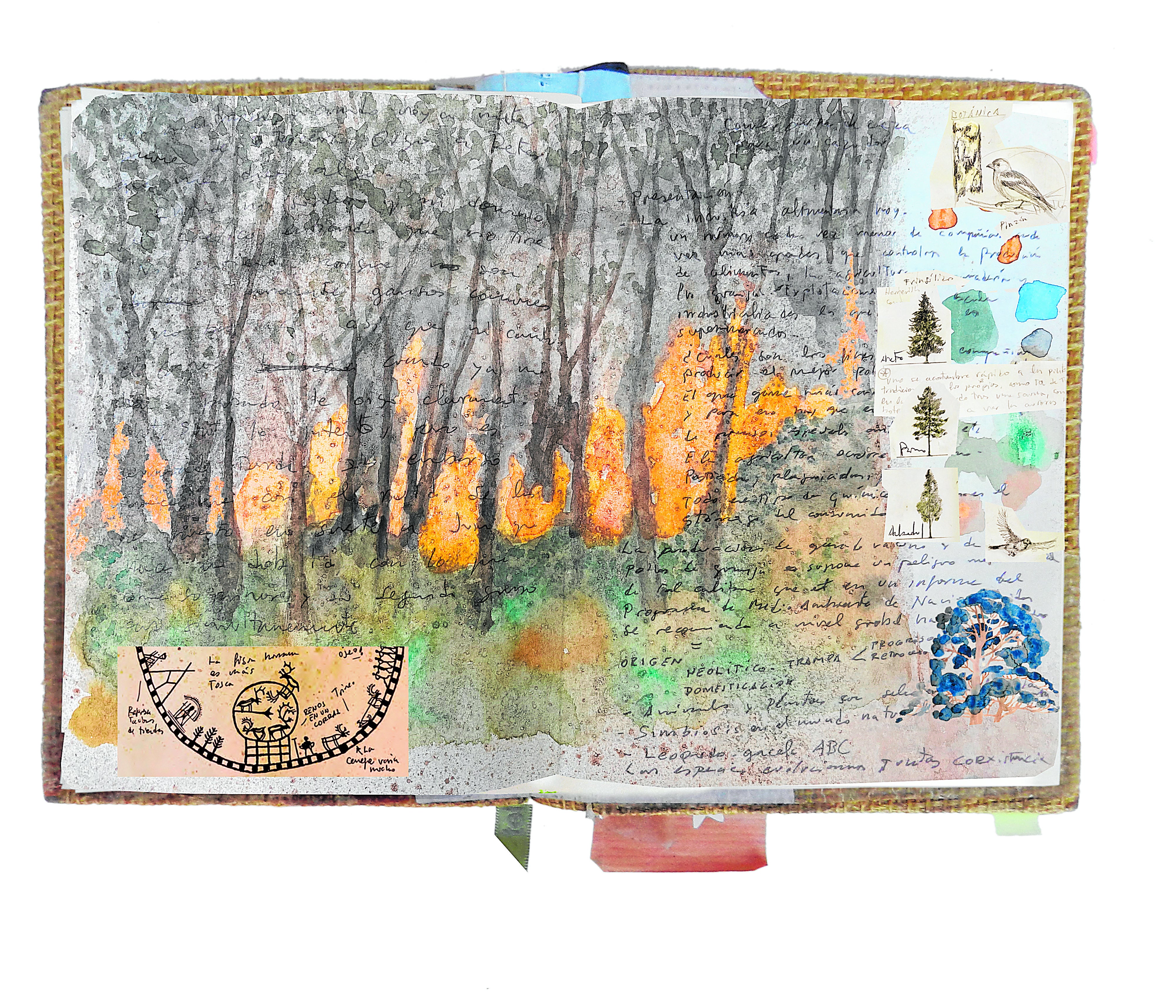 El campo tiene las letras muy gordas