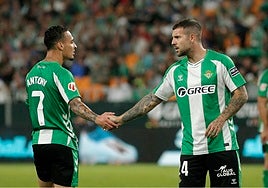 Dónde ver Palma del Río - Betis: canal de TV y streaming online del partido de la Copa del Rey 2025-2026