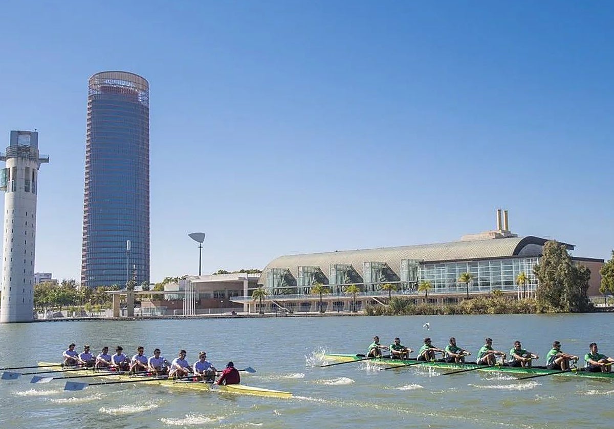 Las tripulaciones del Sevilla y del Betis en la regata, con la Torre Sevilla detrás