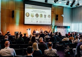 El Trofeo Princesa Sofía cuenta su modelo de gestión en Amsterdam