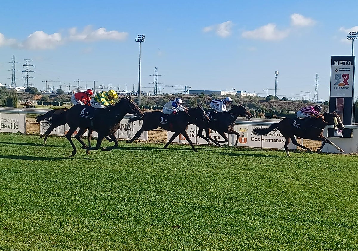 Victoria de 'Tritón' con la monta de Gabriel Arguinzones en la tercera carrera de este domingo