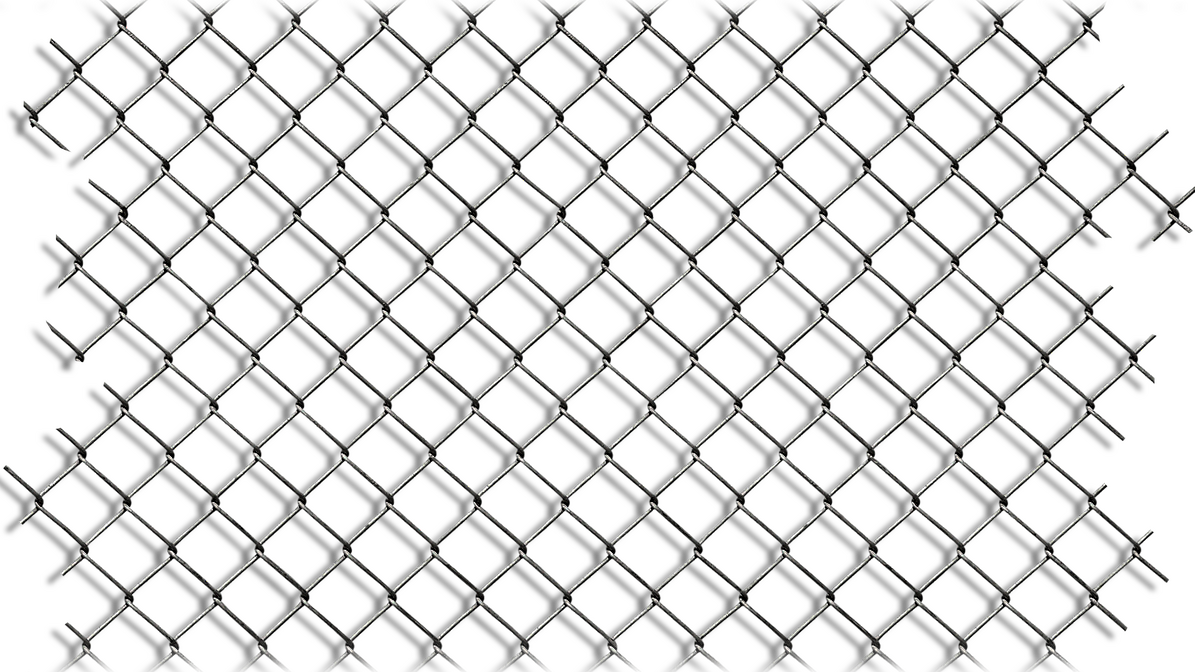 El camino hacia la gloria de las MMA