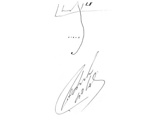 Gol de Roberto Carlos.