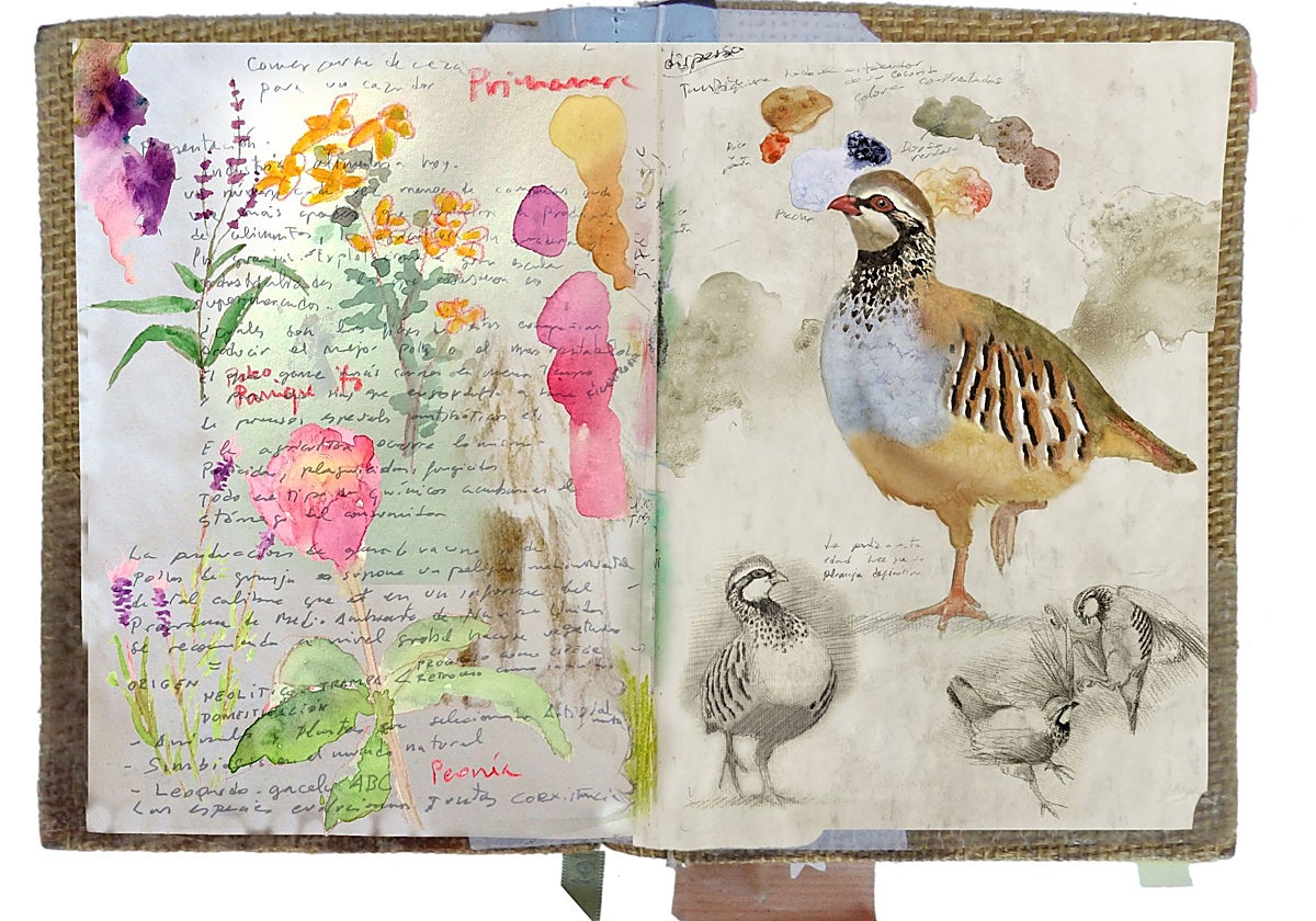 Cuaderno de Campo
