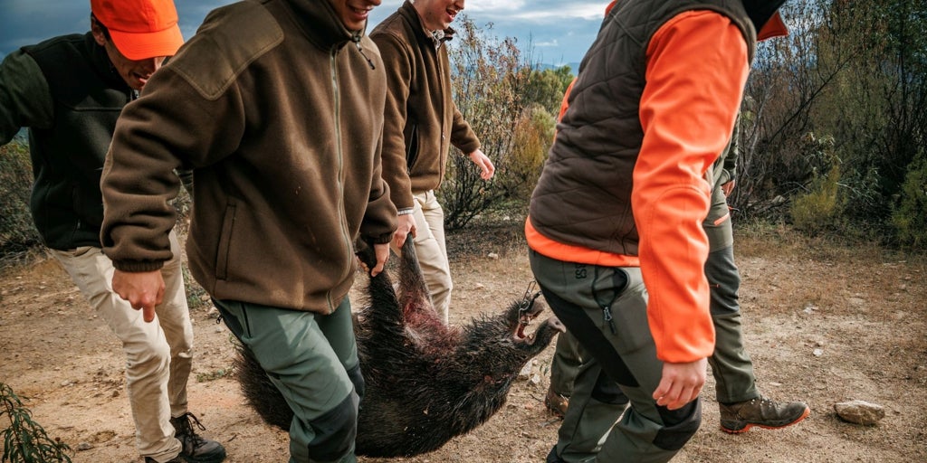 Sobre la utopía de la caza de jabalíes en mano