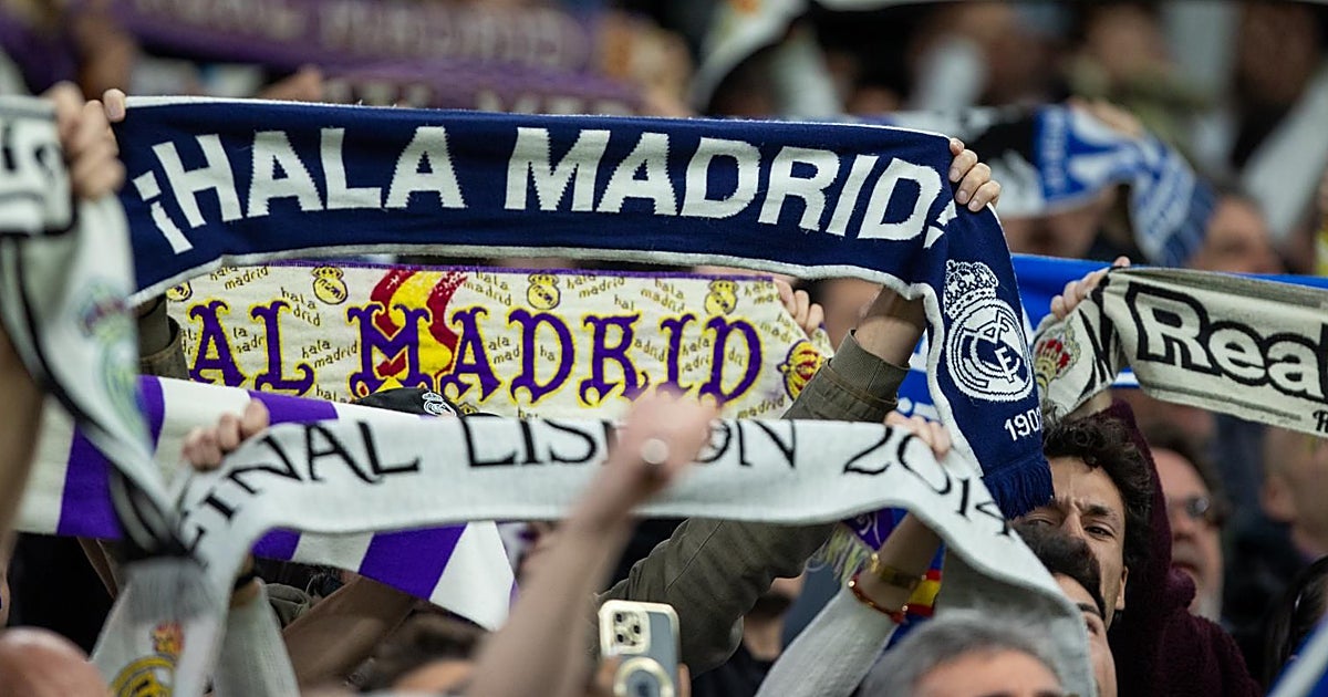 El azulejo de las montañas