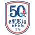 Anadolu Efes: