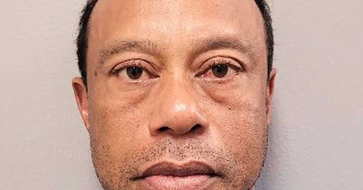 «Tenía los ojos inyectados en sangre»: los escabrosos detalles de la detención de Tiger Woods