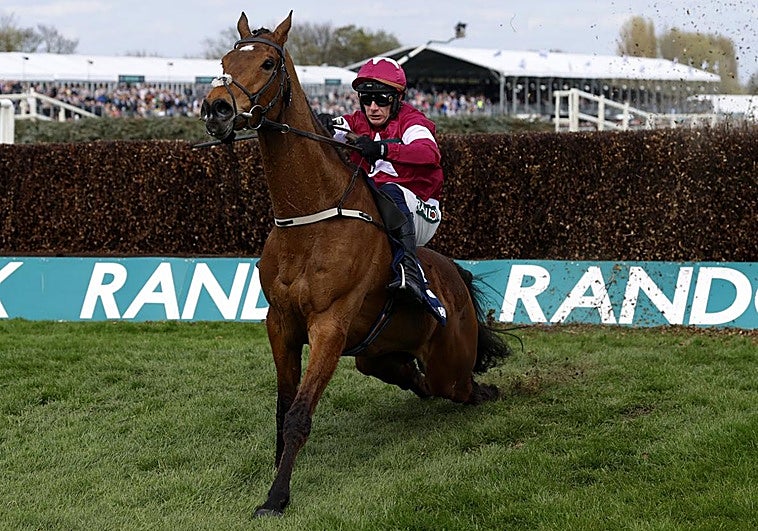 Sacrifican a un caballo tras ganar una carrera con la espalda rota