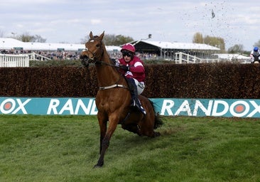 Gold Dancer arrastra las patas traseras tras cruzar la meta.