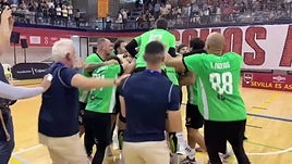 El Cajasol Sevilla Proin, nuevo equipo ASOBAL