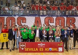 Sevilla es Asobal: el Proin ingresa en la élite del balonmano español (29-21)