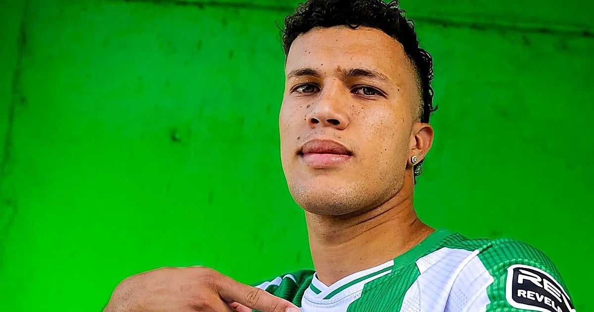 imagem