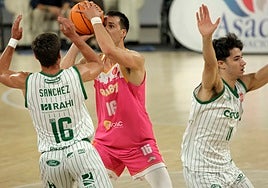 El Insolac Caja 87 visitará al Coto Córdoba y al Covirán Granada en la Copa Andalucía