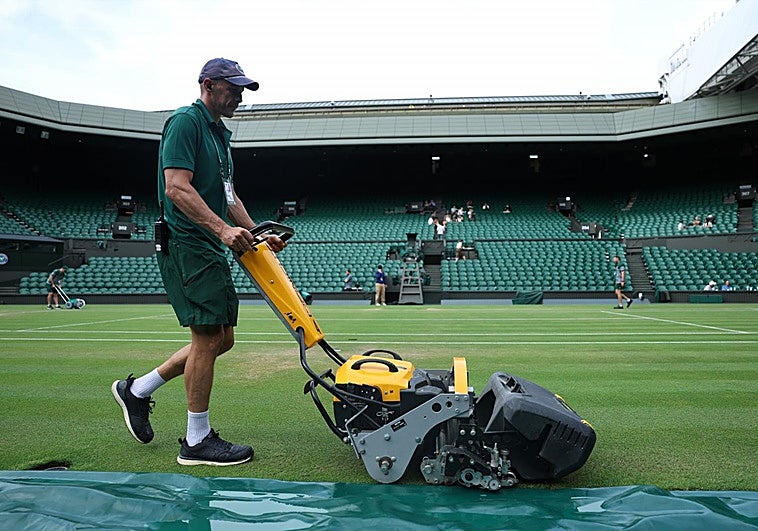 Wimbledon y sus pistas activan el protocolo al calor: c&eacute;sped m&aacute;s tolerante y nuevas plantas