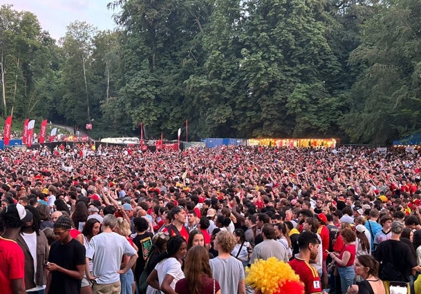Aficionados belgas en Bruselas