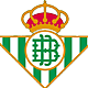 Imagen principal -  Real Betis