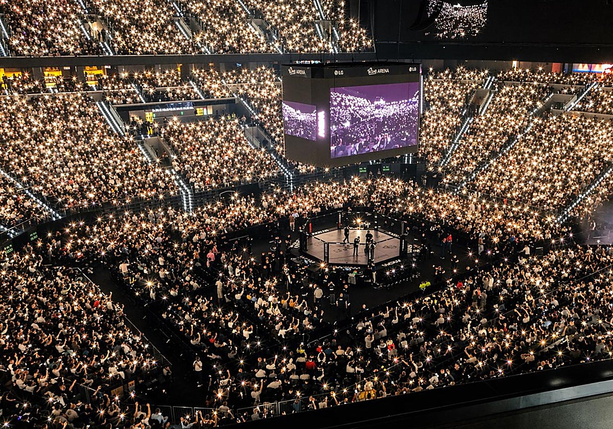 Las MMA siguen derribando muros: los menores vivirán las grandes noches de WOW en Valencia