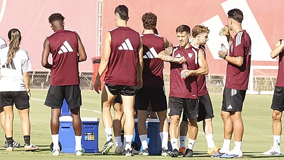 Alfon: «Quiero triunfar en el Sevilla, es para lo que vine»