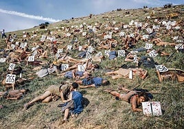 La sorprendente arma secreta para evitar el ataque de los lobos: la vainilla