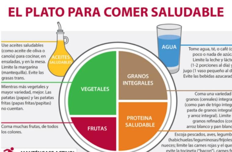 Composición del plato para comer saludable según Harvard