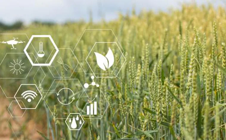 Agricultura lanza la licitación del Hub de innovación digital para empresas agroalimentarias