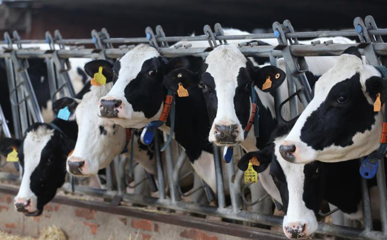 Desde el PP destacan la difícil situación de los agricultores y ganaderos españoles