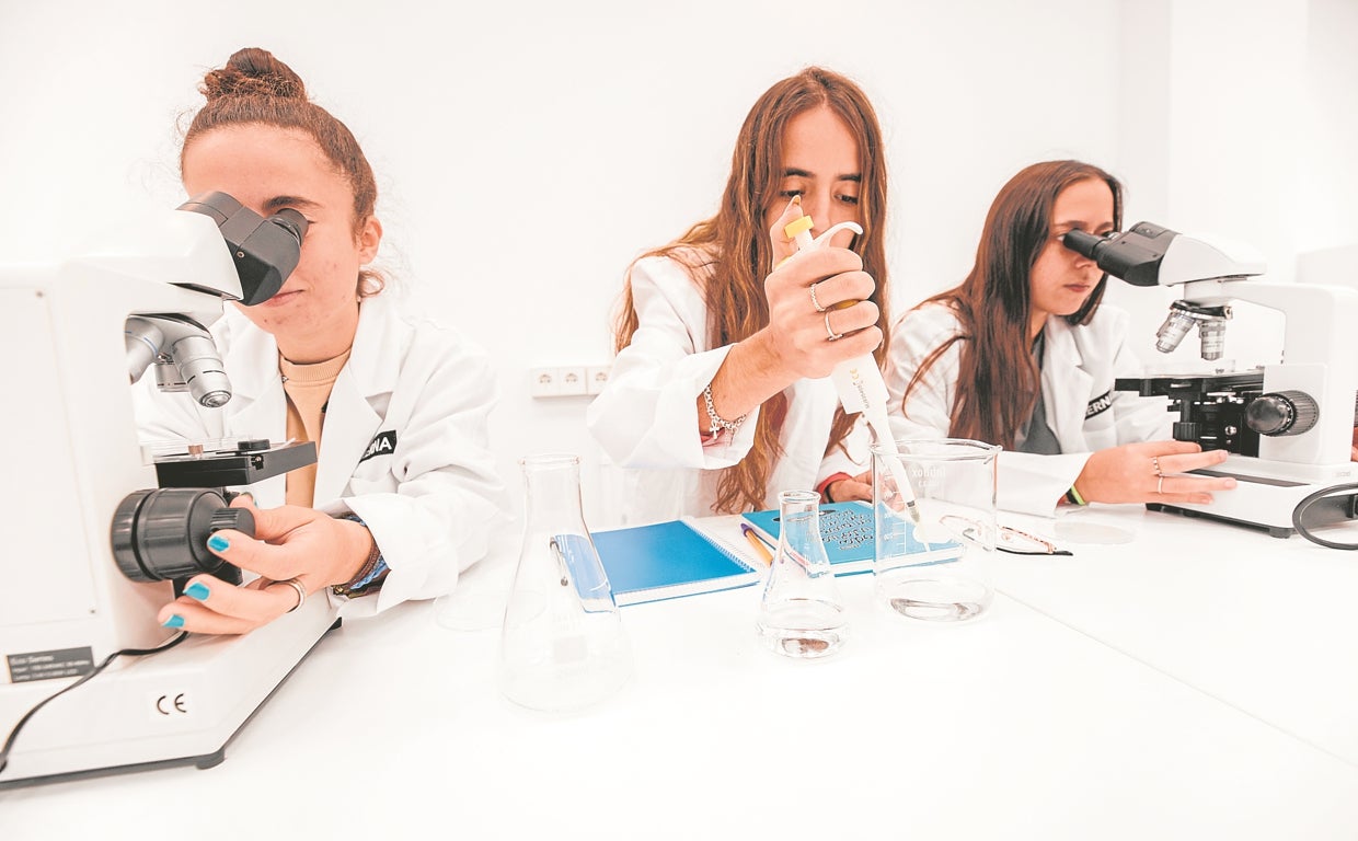 Una apuesta segura en la Formación Profesional oficial