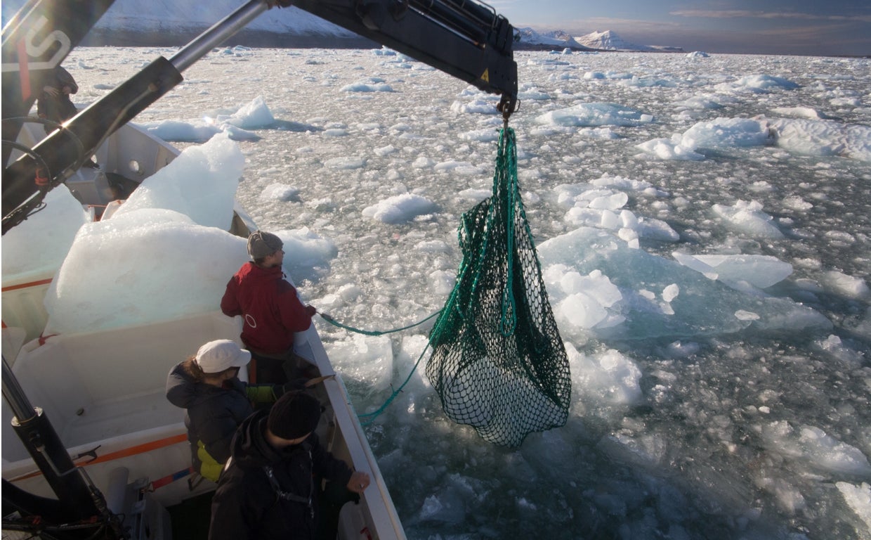 Trabajadores de Svalbardi recogiendo un iceberg desprendido de un glaciar