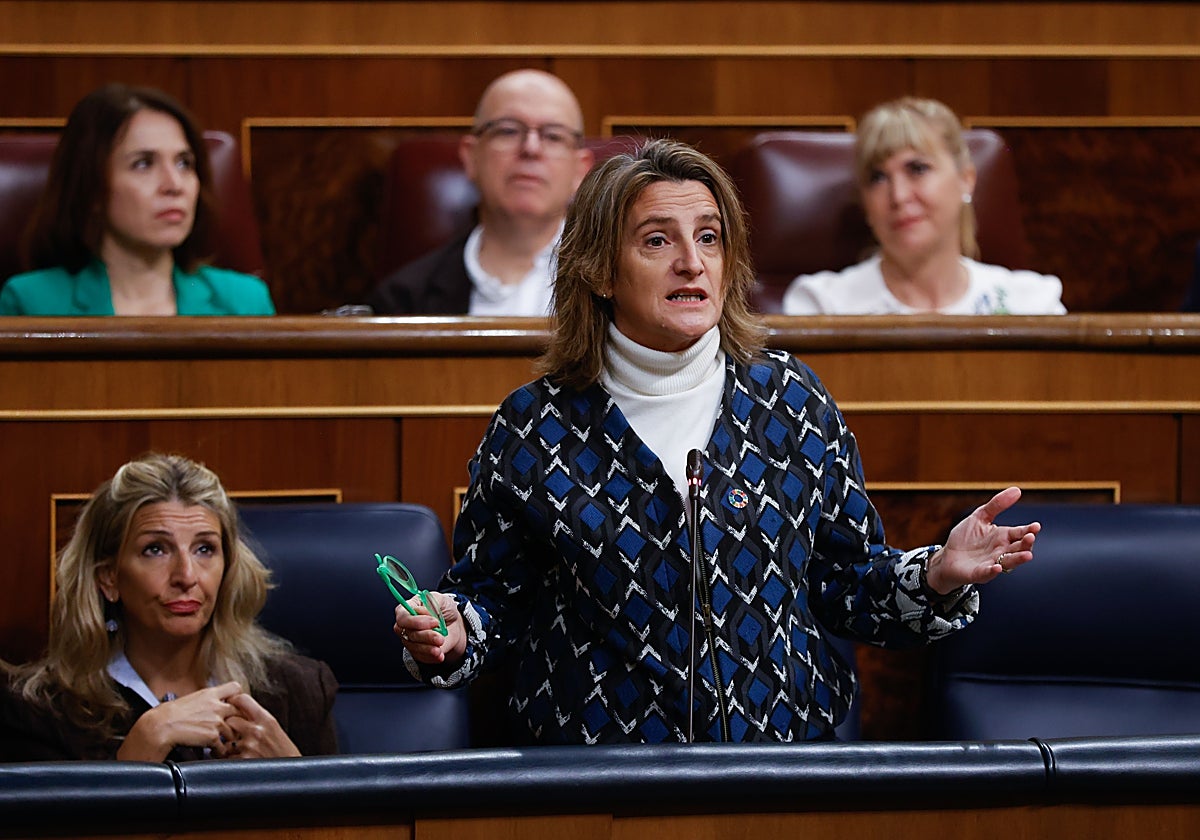 Teresa Ribera, en el Congreso